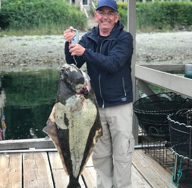 A smiling fisherman on a wooden pier weighing a large trophy halibut caught during a deep sea fishing trip.