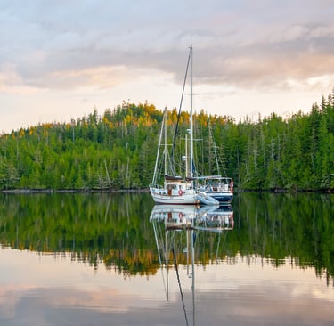 White sailboats anchored in a calm bay reflecting a lush pine forest at sunset.