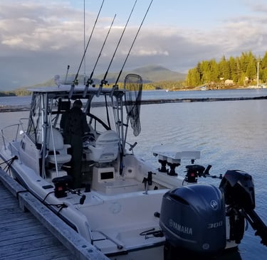 Fishing boat with Yamaha 300 outboard motor and fishing rods docked at a scenic coastal harbor.