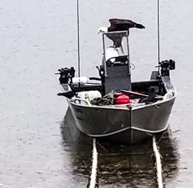 A bald eagle perched on a small fishing boat parked on a launch ramp near a body of water.