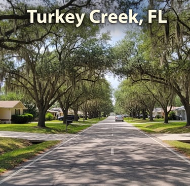 Repair and replace glass auto Turkey Creek, FL