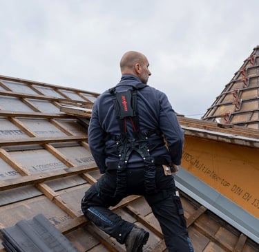 Egzoskeletai stogdengiams