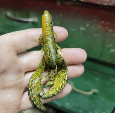 Custom 4" crawdad
