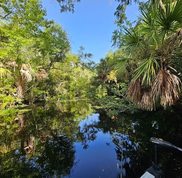 Water scape picture of Big Muddy Run in the summer, Lake George, Florida