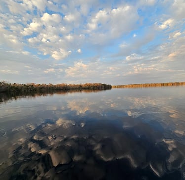 Waterscape St. Johns River, Lake George, Florida