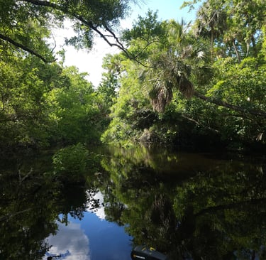 Lake George Florida