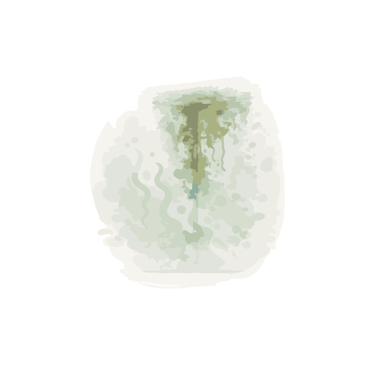 Pared llena de humedades.