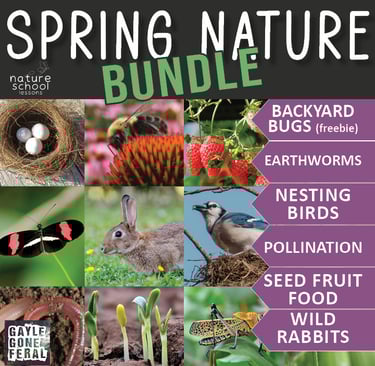 Spring nature bundle curriculum featuring bugs, birds, pollination, and wild rabbits for kids' outdoor learning.