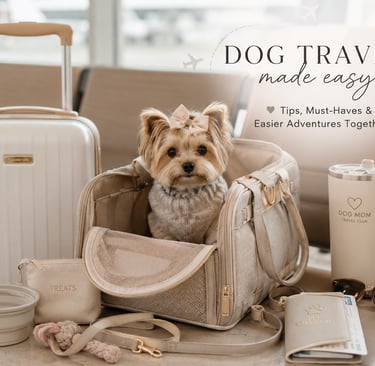 Traveling with small dogs and must-haves 2026
