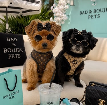 Bad & Boujee Pets Summer fun small dogs