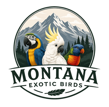 Montana Exotic Birds