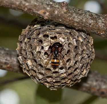 worm's-eye view photography of concrete building