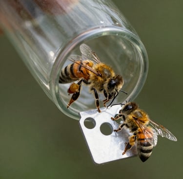 a man riding a skateboard down the side of a ramp