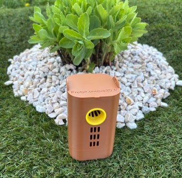 Boite à frelon asiatique unique 3D lit et appas intégré de taille S (1 entrée)