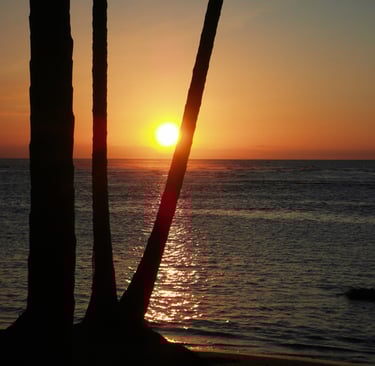 Sunset over sea in Las Terrenas, golden reflection;Atardecer mar Las Terrenas, reflejo dorado