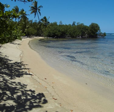 Calm sandy beach with mangroves;Playa de arena tranquila con manglares