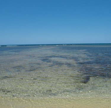 Calm sandy beach with mangroves;Playa de arena tranquila con manglares