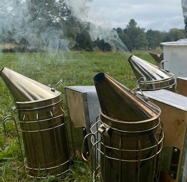 Beekeeping course equipment.