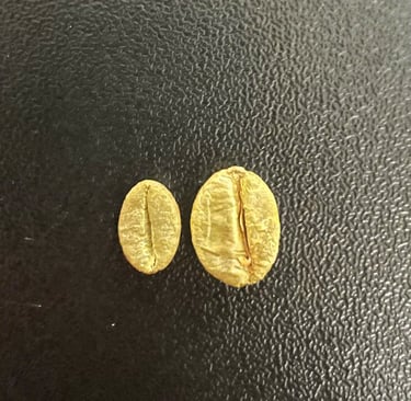 so sánh robusta Sẻ và robusta cao sản