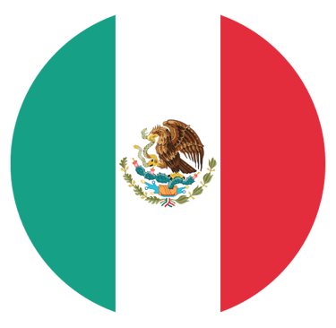 mexico llc