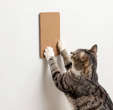 A happy dog playing with a durable chew toy in a sunny garden