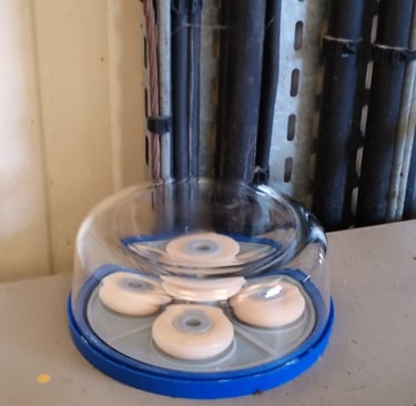 Dispositif harmonisation géobiologue Bretagne Morbihan Loire-Atlantique