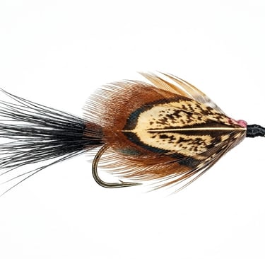 Mrs Simpson trout fly featuring pheasant flank feathers on a white background, labelled Trout Flies
