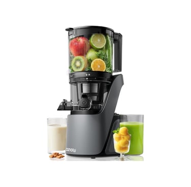 Canoly masticating cold press juicer filled with fresh fruits and vegetables next to green juice and sorbet.