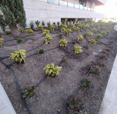 riego por goteo asturias