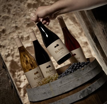 vinos bodega belote