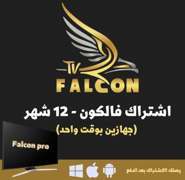 a tv screen with a picture of a falcon on it