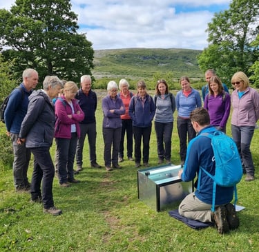 people looking at a moth trap being opened as part of a sustainability biodiversity corporate event