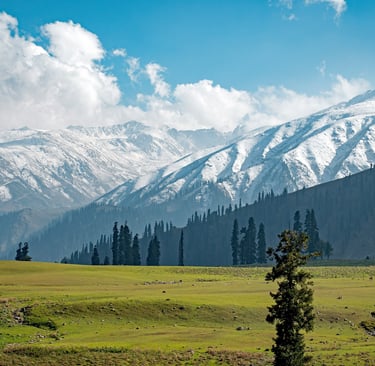 Himachal Packages