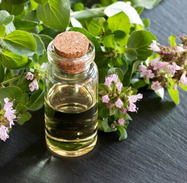 Kekik yağı origanum onites oil