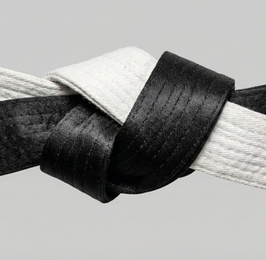a black and white karate belts wrapped together