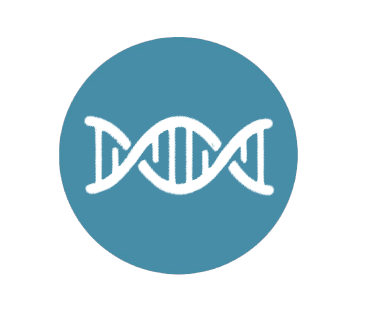 DNA helix icon symbolizing the connection of two faces in a family history.