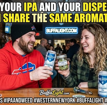 Pairing WNY’s Iconic Beers with Local Cannabis Terpenes
