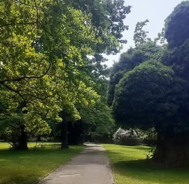 Градина в Куртово Конаре с различни дървета, осигуряващи сянка и красива зелена морава