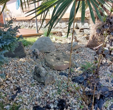 Алпинеум в Куртово Конаре с растения, палма, каменен слон и стара мелнична каменна колела