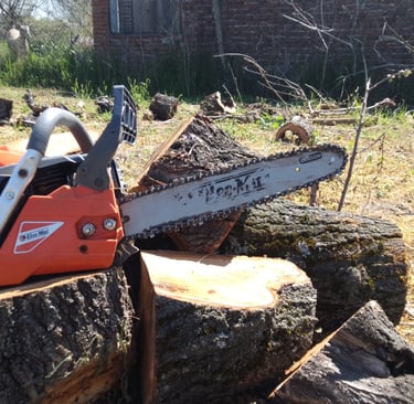 Freshly cut logs and chainsaw after professional tree felling and garden clearance work by Hedgie Wilder Home & Garden
