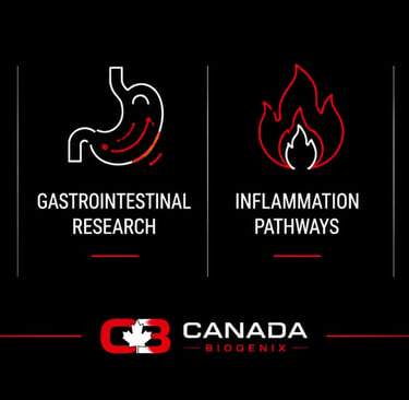 Canada Biogenix research infographic showing medical studies for tendons, gastrointestinal health, inflammation, and
