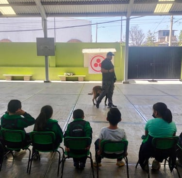Centro de capacitación canino