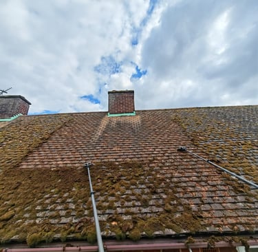 roof moss removal scraping