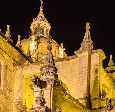 catedral de jerez por la noche