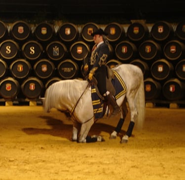 Espectáculo ecuestre de caballos de jerez en bodega