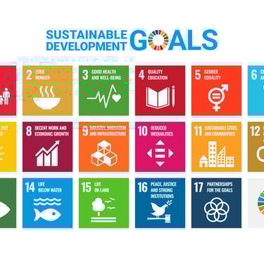 UN SDGs