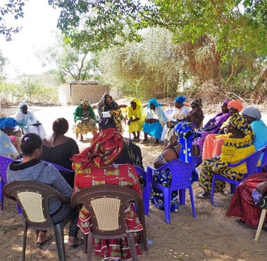 membre de l’Observatoire National de la Parité