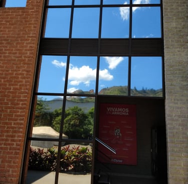 Polarizacion de apartamentos, casas y oficinas. Vidrios, ventanas, privacidad, pelicula polarizada