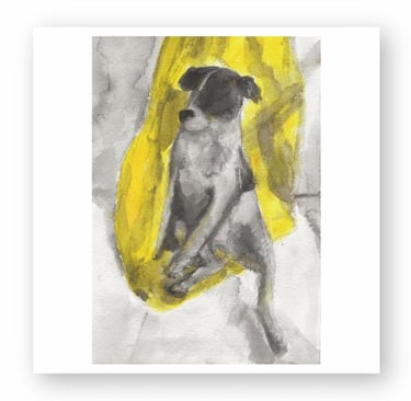 Watercolor painting of a black and white dog sitting on a bright yellow blanket.