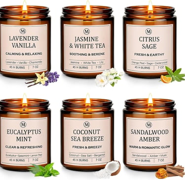 6-Pack Scented Soy Candle Set – Lavender Vanilla, Eucalyptus, Sandalwood, Jasmine & White Tea, Cocon